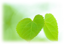 アマナスペースのセッションの特徴