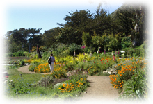 エサレン®ボディワークについて