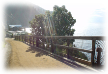 エサレン®ボディワークについて