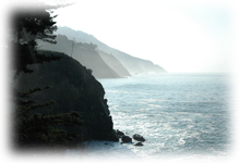 エッセイ「生命の美しさと大切さをわかち合うために」