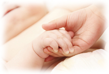 エッセイ「生命の美しさと大切さをわかち合うために」