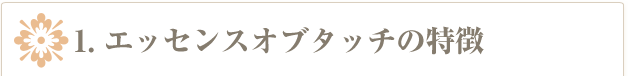 エッセンスオブタッチの特徴